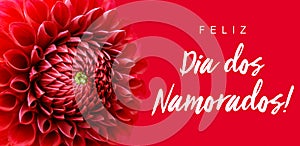 Feliz Dia dos Namorados! text in Portuguese: Happy ValentineÃ¢â¬â¢s Day! and bright red dahlia flower wide banner border frame